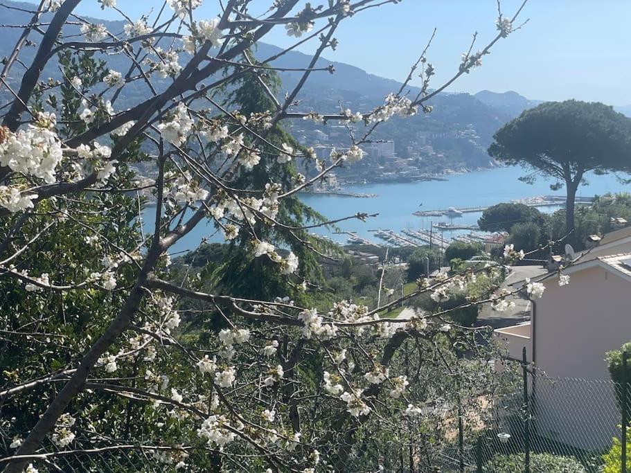 Casa Carmen Rapallo Citra 010046-Lt-2165 Eksteriør bilde